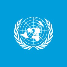 UN flag